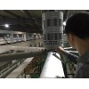 工業(yè)大吊扇，工業(yè)大風(fēng)扇，大風(fēng)扇